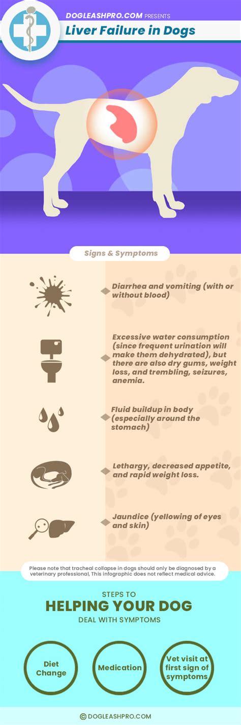 Dog liver disease Page 2 Dog Forum