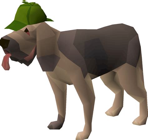 Dog osrs. Apr 6, 2013 · Just a short video showing how to get to Tarn's lair/Terror Dogs This is Old School Runescape.Before you can kill terror dogs you have to kill tarn's 2 forms... 