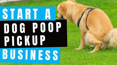 Dog poop removal. Things To Know About Dog poop removal. 