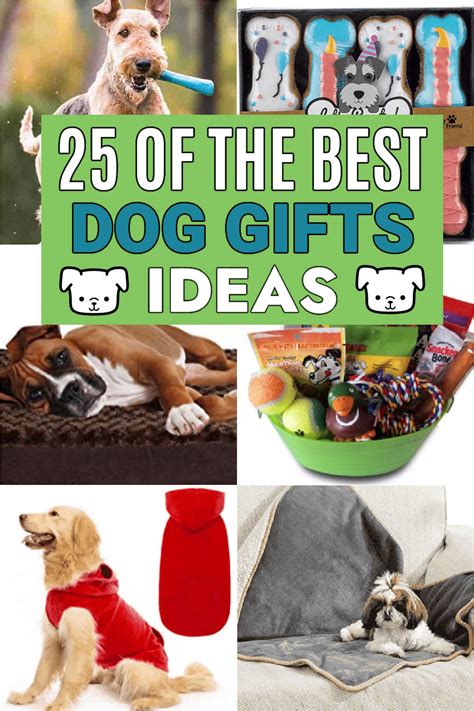 Dog present ideas. Things To Know About Dog present ideas. 