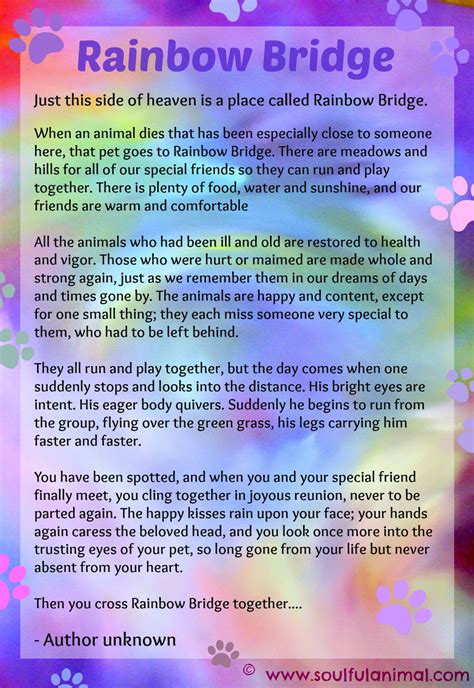 Dog rainbow bridge poem. The Rainbow Bridge is a heartwarming concept that brings comfort to those who have lost a beloved pet. It symbolizes the idea that there is a special place where pets go after they... 