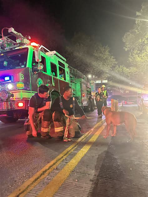 Dog rescued as AFD crews responding to structure fire on Guadalupe Street