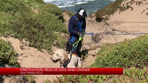 Dog rescued from cliff at Fort Funston