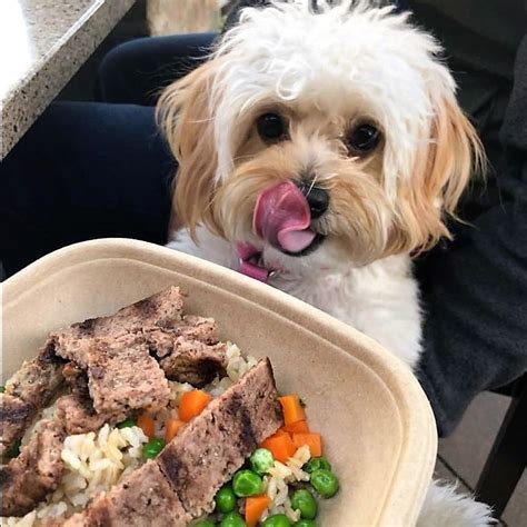 Dog restaurants near me. Traveling with Pets. 16 Best Dog-Friendly Restaurants With Patios in the U.S. Check out one of these hot spots next time you're grabbing a bite (or a pint) with your … 