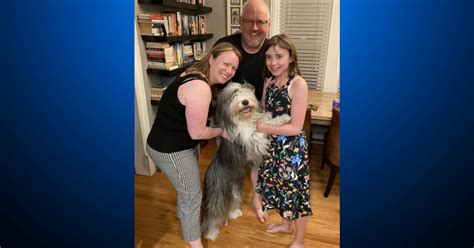 Dog reunited with Sunnyvale family after extortion attempt