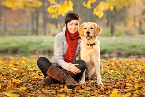 Dog sitter. Nov 1, 2018 ... In-home pet sitting typically consists of a pet sitter coming to your home for a predetermined amount of time, several times per day, in order ... 