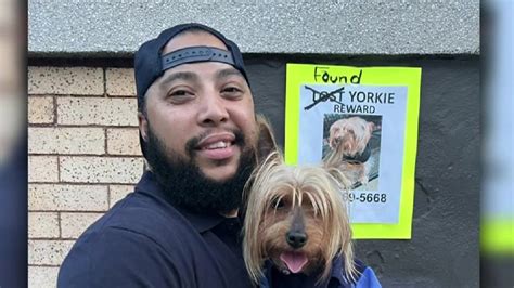 Dog stolen from Dorchester home back with owner