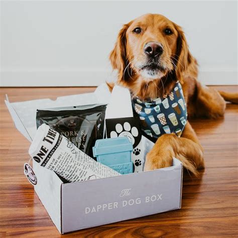 Dog subscription boxes. Each month your box will change based on your pup's life stage and development needs. We introduce you to new products, training tips, and other info relevant to your pup's age. PupBox is customized just for your pup. Each box is packed with toys, treats, chews, and accessories based on your pup’s birthday, size, and dietary restrictions. 