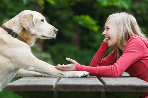 Dog talk. Dogs may not use words, but they do talk to each other. Their communication mainly takes place through body language. A dog can say a great deal by where they place their ears and their tail. However, some vocalizations also play a role. Dogs understand this shared language through a mixture of innate … 