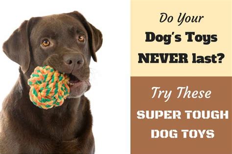 Dog toys for heavy chewers. Aug 24, 2021 · 23 Best Indestructible Dog Toys for the Toughest Chewers Ana Connery. Gabrielle Porcaro Updated: Feb. 01, 2024. ... Unlike most other dog toys, this one bounces, floats, ... 