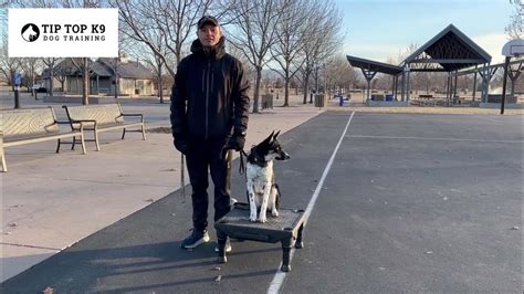 Dog training boise. TK Hot Retrievers is a family owned Boise Hunting Dog training company. We specialize in training dogs of all breeds and ages in bird, duck, waterfowl, pheasant, and shed antler hunting specialties. Jim Closson, our head trainer, has over 25 years of professional dog training experience. He is a member of the International … 