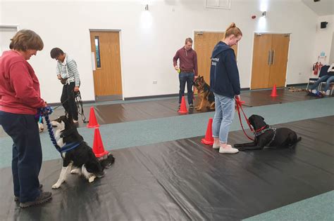 Dog training class. The key to a good dog is a well-trained dog. When you train together, an unspoken language builds between you through words, hand signals, whistles and other methods. Test your training skills ... 