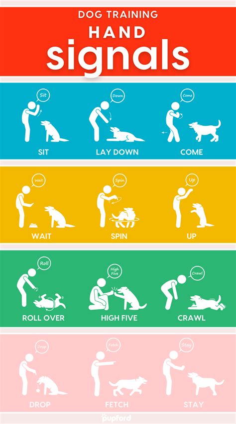 Dog training hand signals. Feb 10, 2024 · Here are some of the advantages: Hand signals can be understood by dogs of all ages, breeds, and sizes. They can be used in noisy environments or from a distance where verbal commands may not be heard or understood. Using hand signals can help your dog learn faster and more efficiently, leading to better behavior and obedience. 