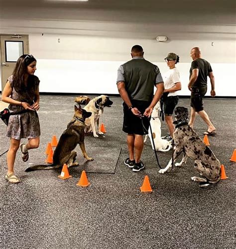 Dog training kansas city. 816-656-8933. kc@alldogsunleashed.com. All Dogs Unleashed is Kansas City's premier dog training. Our dog trainers specialize in, pet obedience, advanced dog training, service & therapy dog training, protection dogs and more. 