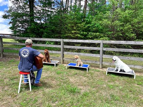 Dog training nashville. Mar 15, 2023 ... As soon as the subject dog shows any tension the trigger stops in place. When the subject calms, again the trigger goes away to the safe spot ... 