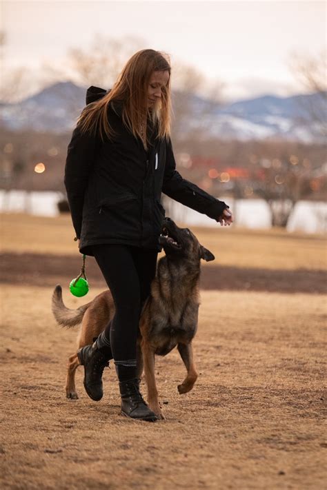 Dog training portland. Getting a new puppy is exciting, especially if it’s your first time getting a pet! But puppies are a lot of work, and training them takes a lot of time and energy. When you’re trai... 