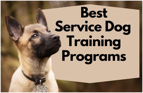 Dog training programs. Things To Know About Dog training programs. 