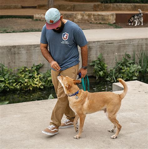 Dog training san antonio. PetSmart Dog Training. 11791 Bandera Rd, San Antonio, TX 78250. (210) 526-6631. Open today until 9pm. Store info. 
