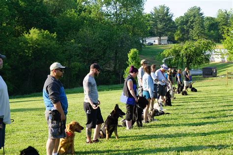 Dog training schools. Dog Training Classes: Whether you have a new puppy, an unruly adolescent, or an adult dog who needs some polishing, our dog training classes are specifically tailored to meet your needs.Led by our team of experienced and certified trainers, our classes encompass a wide range of topics, including basic obedience, advanced … 