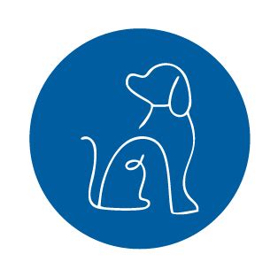 Dog training solano county. .  ...