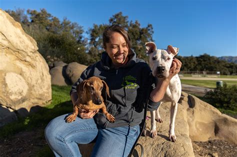 Dog training tucson. 520-775-2663; info@buildingbondstraining.com; Broadway/Campbell & Humane Society of Southern Arizona; Serving Tucson, Sahuarita, Green Valley, Corona de Tucson, Oro Valley, & Marana (Travel charge may apply.) 