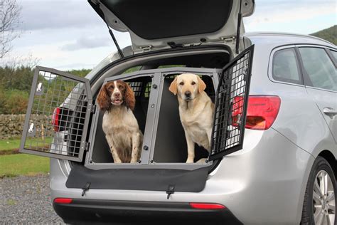 Dog transport service. 