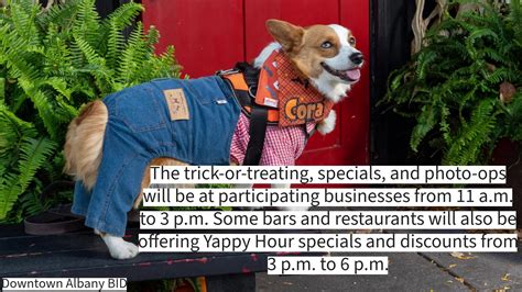 Dog trick-or-treating event returning to Albany