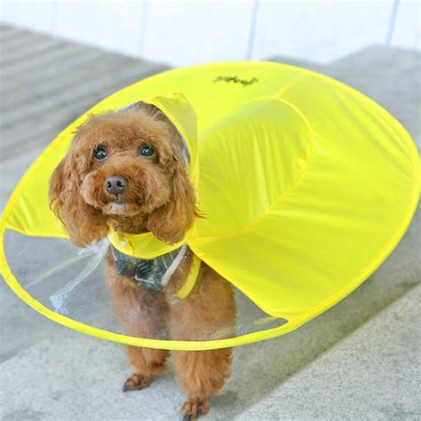 Dog umbrella. Things To Know About Dog umbrella. 