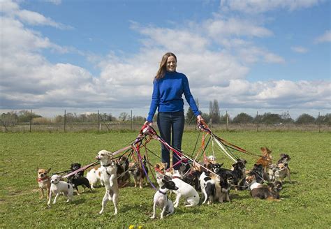 Dog walk jobs near me. Things To Know About Dog walk jobs near me. 