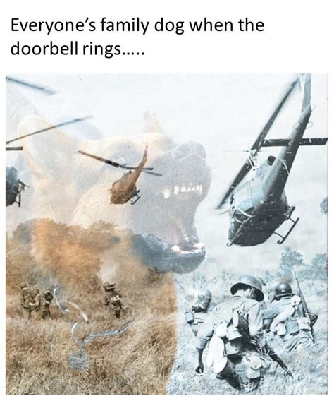 Images tagged "vietnam dog flashbacks". Make your own images with our Meme Generator or Animated GIF Maker..