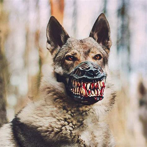 Dog werewolf. Aug 28, 2015 ... photo via Alexey Kurulyov Zveryatam, an online store based in Russia, has released a creepy muzzle that transforms any ordinary dog into a ... 