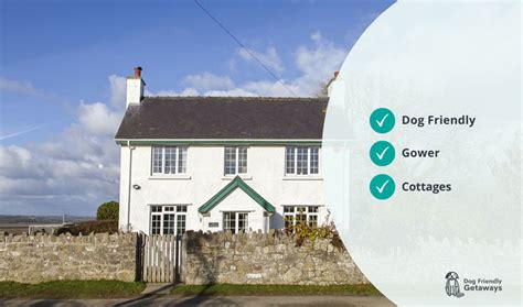 Dog-Friendly Cottages Gower FBM Holidays