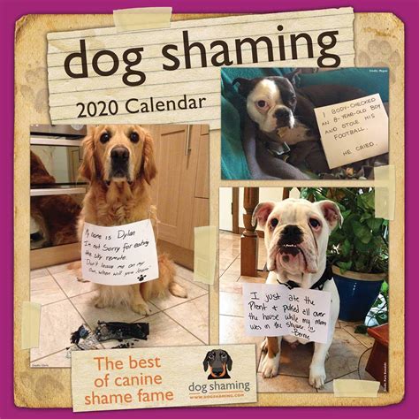 Read Dog Shaming 2020 Daytoday Calendar By Pascale Lemire
