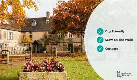 Dog-friendly cottages in Stow-on-the-Wold - holidaycottages.co.uk