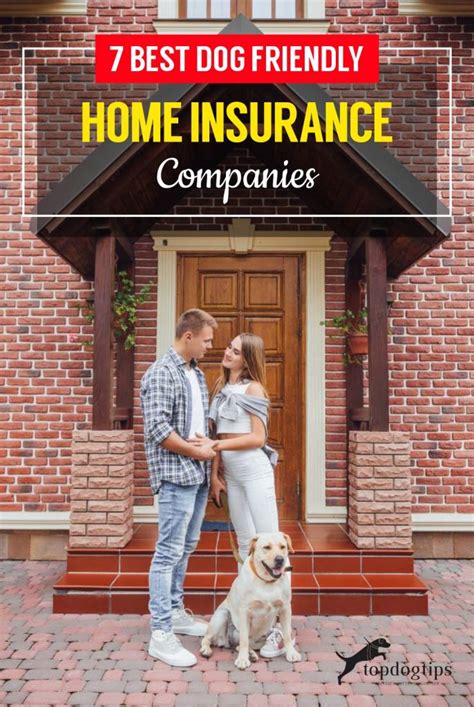 Dog-friendly homeowners insurance. Things To Know About Dog-friendly homeowners insurance. 