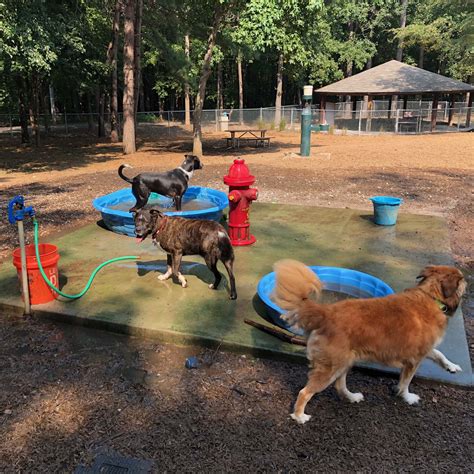 Dog.parks. TRAIL and TAIL Pet-Friendly Community · DOG PARK 49 · DOG GARDEN @BKK · Mile High Pet Care and Spa · Dog's Paw · PET 'N ME. 