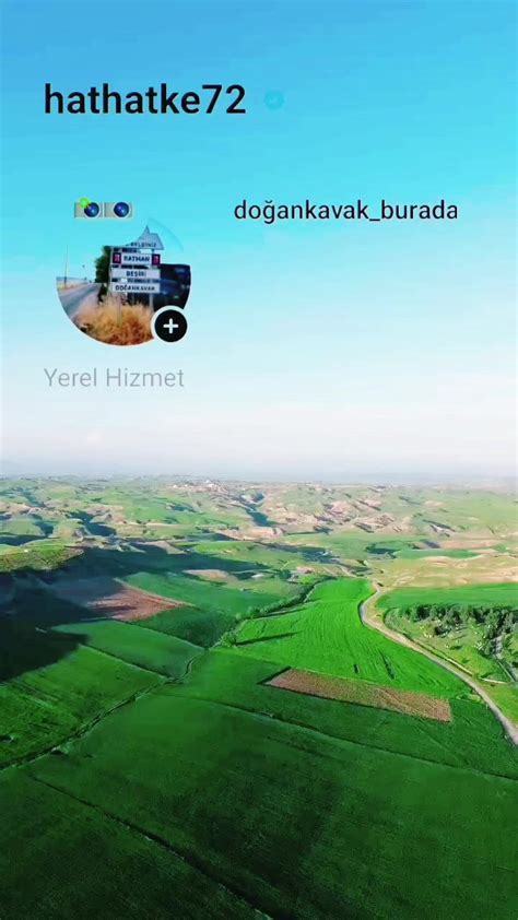 Dogankavak Halı ve Koltuk Yıkama