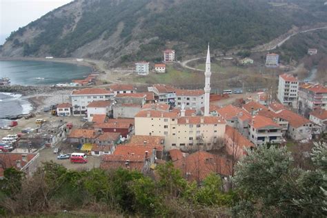 Doganyurt Halı ve Koltuk Yıkama