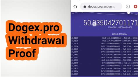 Dogex pro