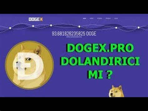 Dogexpro