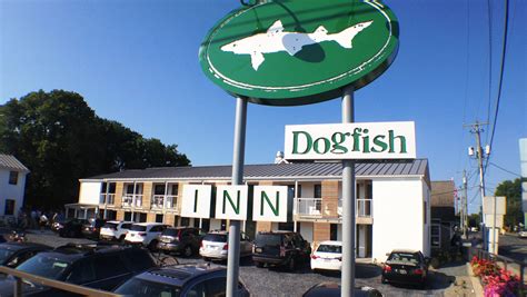 Dogfish inn. Things To Know About Dogfish inn. 