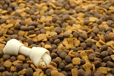 Dogfood. Things To Know About Dogfood. 