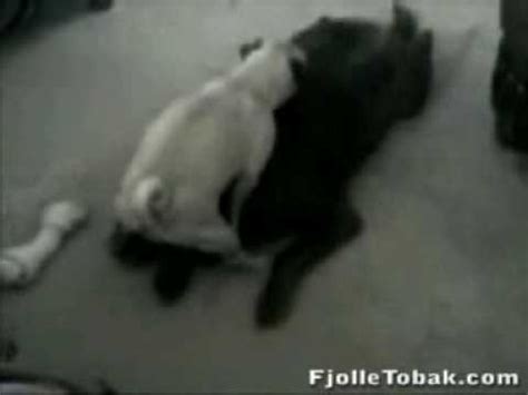 dog-blowjob Popular Videos / Showing 0-30 of 1000. 17:05. 5 years ago 24478 71%. 05:00. 5 years ago 36207 84%. 29:55.