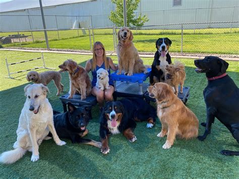 Day Camp is our version of doggie daycare, supercharged! Previous Day Camp Manager, Jess, with some of the campers. Our Day Camper’s spend their time not only socializing …. 