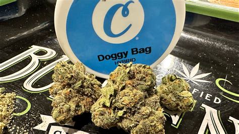 Doggy Bag, a strain created through a mix of Project 4516 and Zkittlez 18, is an evenly balanced hybrid that provides a calming high coupled with an energizing mental stimulation. Smoking this strain will make you feel lifted and relaxed without any pain. Call or text now for a DC weed delivery or pickup. Give Doggy Ba. 
