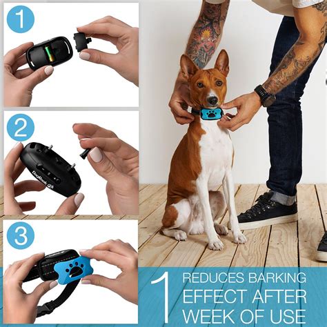 Press the power slide to turn which instrument on, try to blow on the collar and see if information works. Rotate on Turn this device on, let own dog bark press look at the pet's reaction.. 