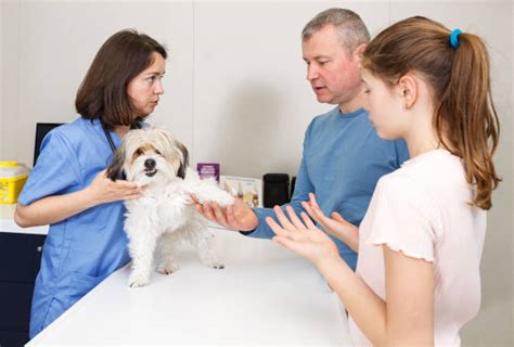 Dogs Included in the Clinical Trial Twenty-two client-owned dogs with clinically and radiographically confirmed evidence of osteoarthritis were recruited