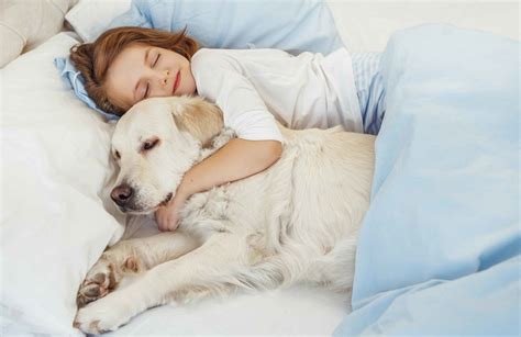 Dogs cuddle. The best breed of dog to own is a mutt, according to Business Insider. Mutts combine the best qualities of all the breeds in their lineage and are often the best behaved and most l... 