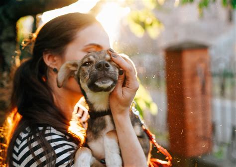 Dogs for adoption oshawa.  Enter your zip code to browse pets from local ...