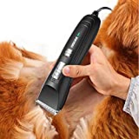 Dogs hair cutter. Dogs with straight hair have medium to long hair. Their genes largely determine their hair length, and the coats usually have a smooth, flowing quality. Maltese and shih tzus are d... 